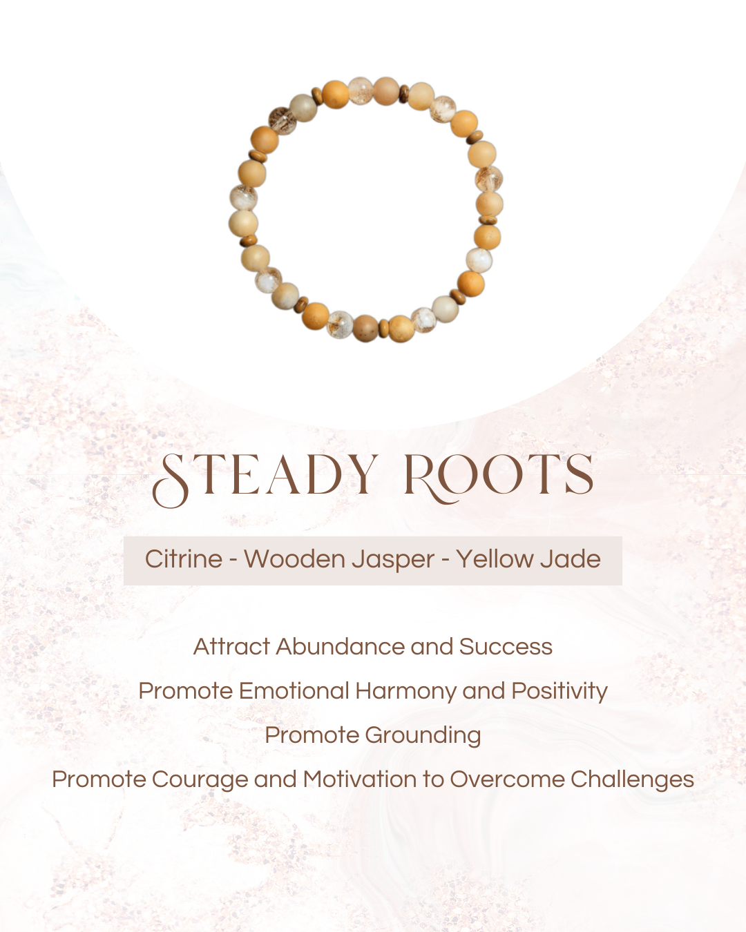 Steady Roots